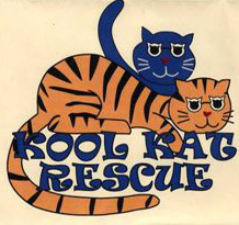 Kool Kat Rescue