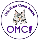 Only Maine Coons Rescue