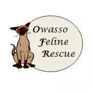 Owasso Feline Rescue