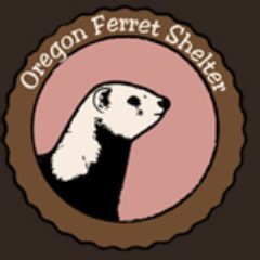 Oregon Ferret Shelter