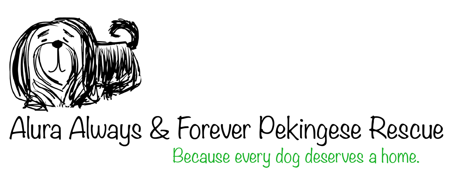 Alura Always & Forever Pekingese Rescue