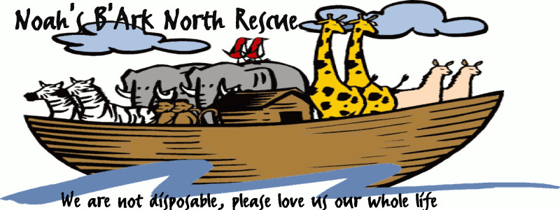 A Noah's B'ark North Pet Rescue