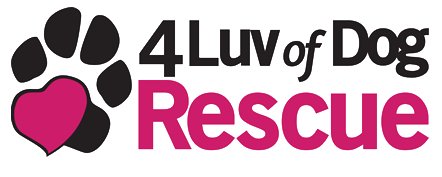 4 Luv Of Dog Rescue