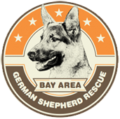 Bay Area German Shepherd Rescue
