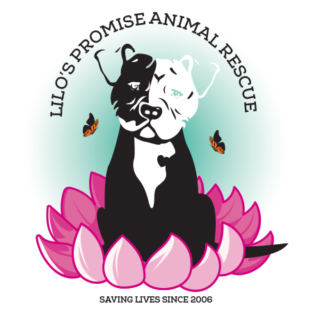 Lilo's Promise Animal Rescue