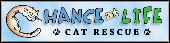 Chance At Life Cat Rescue
