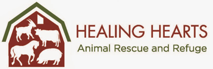 Healing Hearts Animal Rescue And Refuge