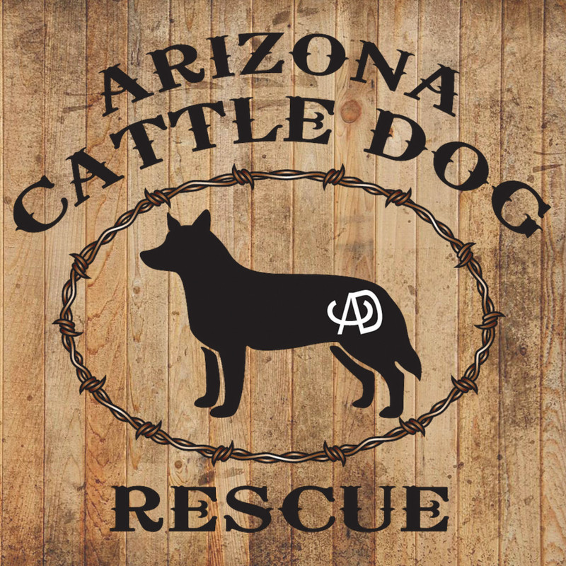 Arizona Cattle Dog Rescue