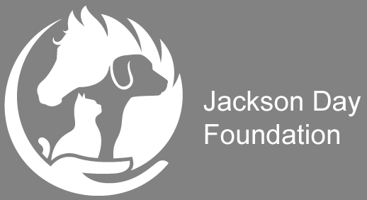 Jackson Day Foundation