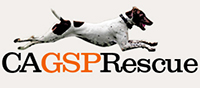 California German Shorthaired Pointer Rescue