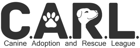 Canine Adoption And Rescue League