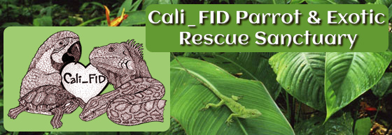 Cali_fid Parrot & Exotics Rescue Sanctuary