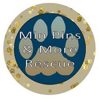 Min Pins & More Rescue Inc.