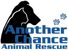 Another Chance Animal Rescue