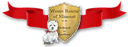Westie Rescue Of Missouri
