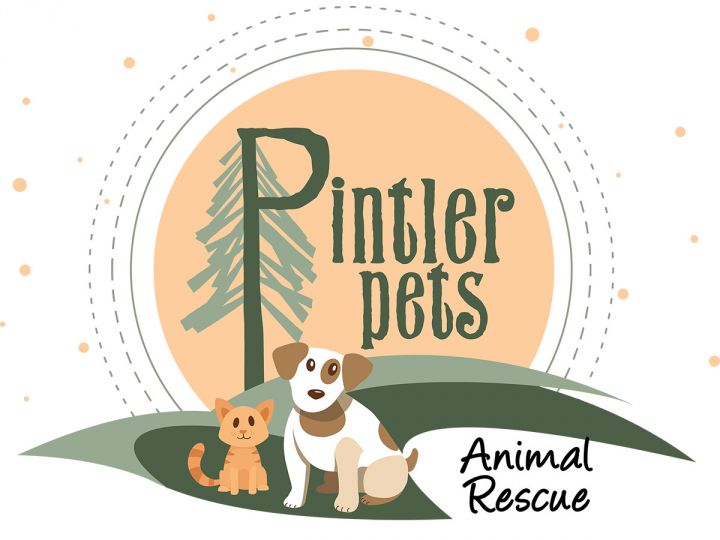 Pintler Pets Humane Society