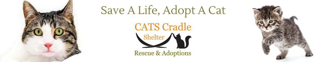 Cat's Cradle Shelter, Inc.