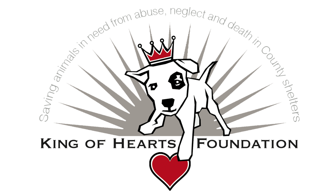 King Of Hearts Foundation