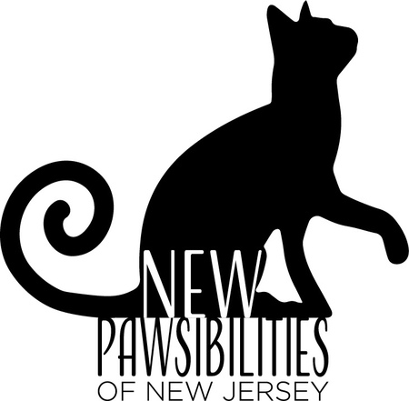 New Pawsibilities