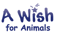 A Wish For Animals