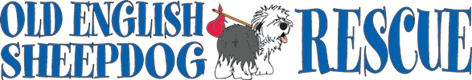 Old English Sheepdog Rescue Of Southern California, Inc.