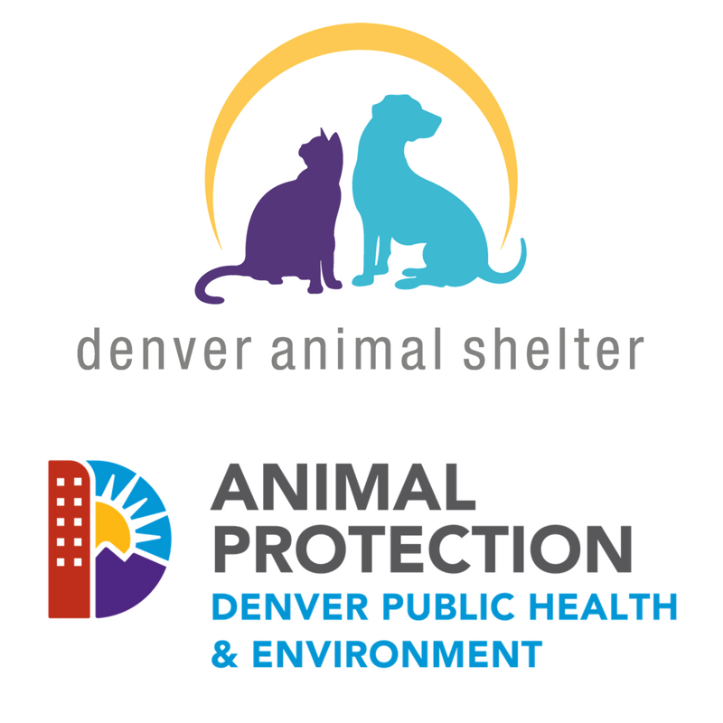 Denver Animal Shelter