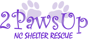 Two Paws Up Nc Shelter Rescue