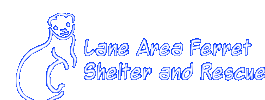 Lane Area Ferret Shelter And Rescue