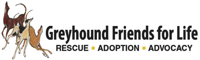 Greyhound Friends For Life