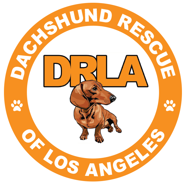 Dachshund Rescue Of Los Angeles