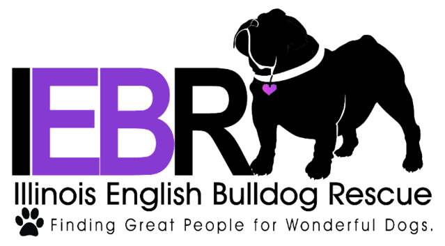 Illinois English Bulldog Rescue