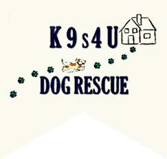 K9s4u Dog Rescue
