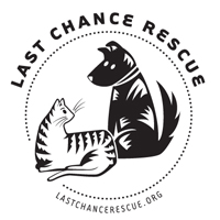 Last Chance Rescue