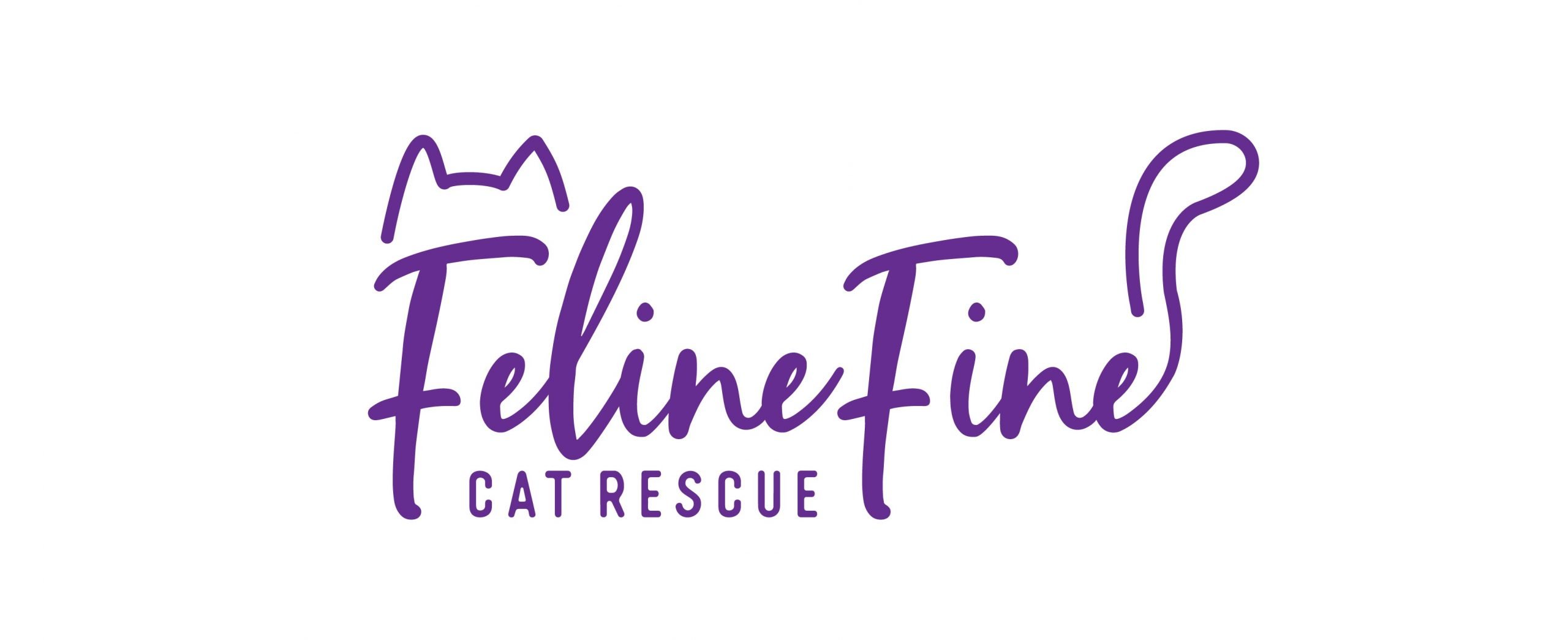 Feline Fine Cat Rescue