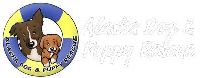 Alaska Dog & Puppy Rescue 