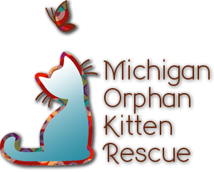 Michigan Orphan Kitten Rescue