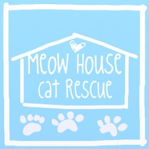 Meow House Cat Rescue