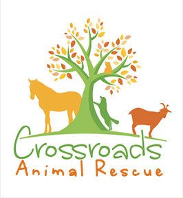 Crossroads Animal Rescue - Care