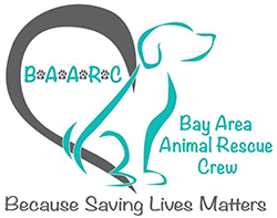 Bay Area Animal Rescue Crew