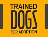 Trained Dogs For Adoption, Inc