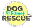 K9 Kismet Dog Rescue