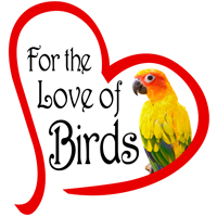 For The Love Of Birds