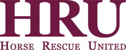 Horse Rescue United