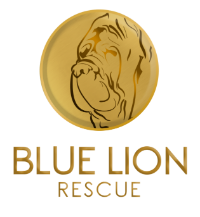 Blue Lion Animal Rescue