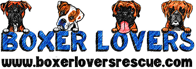 Boxer Lovers Rescue