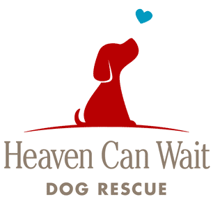 Heaven Can Wait Animal Rescue Inc