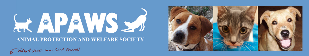 Animal Protection And Welfare Society