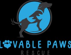 Lovable Paws Rescue