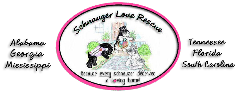 Schnauzer Love Rescue, Inc.