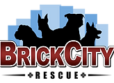 Brick City Rescue, Inc